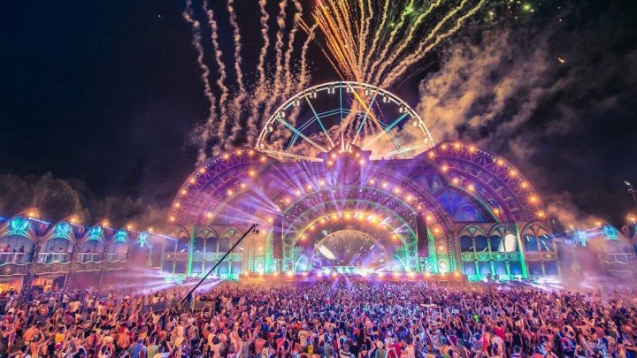 Les moustiques - image